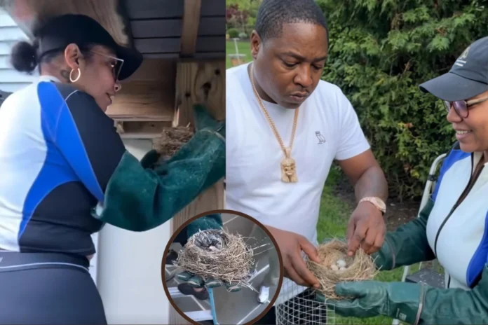 Jadakiss bird rescue
