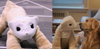 Roomba Inventor Unveils ‘Familiar’: A Dog-Sized Robot Designed for Emotional Bonding Familiar emotional robot