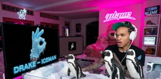 PlaqueBoyMax’s Wild Penguin Setup for Drake’s ‘Iceman’ Release! PlaqueBoyMax penguins Drake Iceman