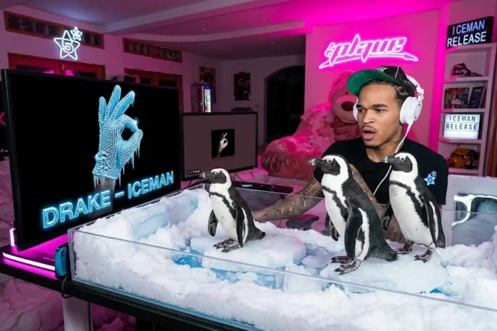 PlaqueBoyMax penguins Drake Iceman