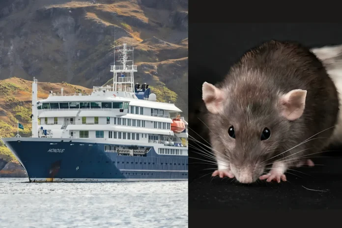 Cruise ship hantavirus outbreak