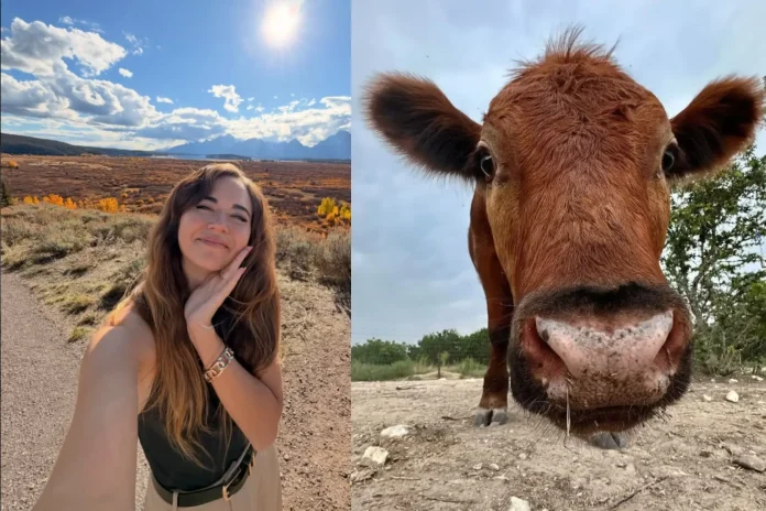 Maya Higa animal conservation Twitch
