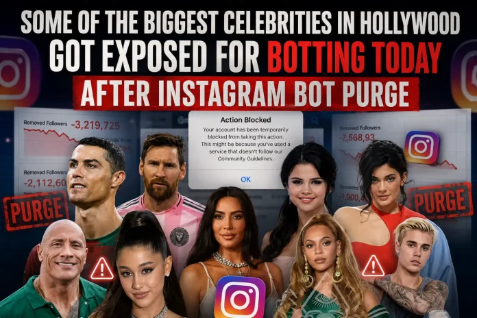 Instagram bot purge