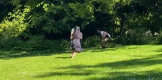 Public Masturbation Incident in Brussels’ Forest Park Shocks Onlookers Public indecency Brussels