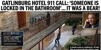 Black Bear Trapped in Gatlinburg Hotel Bathroom: 911 Called! bear locked in Gatlinburg hotel bathroom