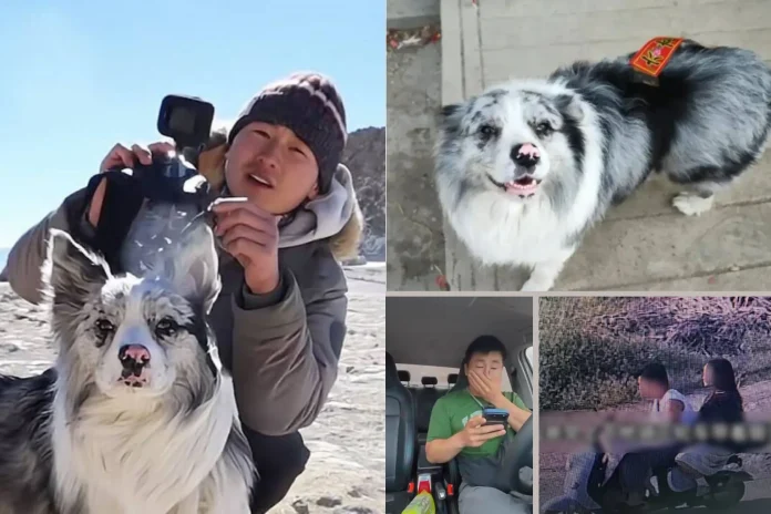 Chinese travel blogger dog stolen