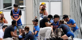 Man Passes Out at Knicks Parade, Leans in for a Kiss After Woman Saves His Life Knicks parade guy passes out kiss