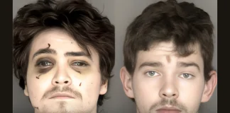 Obsessed Canadian Gamer Poses as Amazon Driver in California Murder Plot Canadian gamer California attempted murder