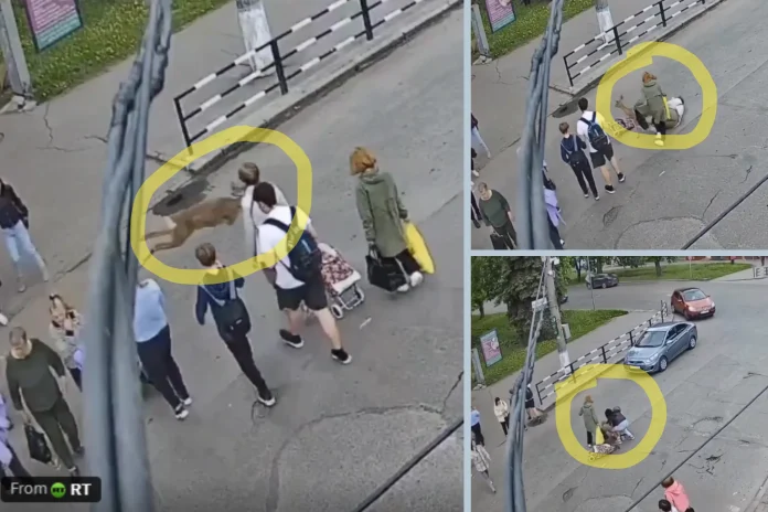 Deer hits woman Ukraine