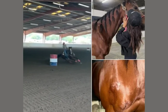 teen girl arrested horse stabbing Las Vegas
