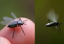 Tiny Drone: China Unveils Mosquito-Sized Micro-Drone mosquito-sized drone