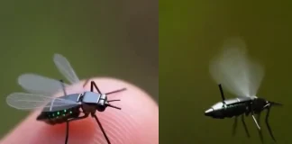 Tiny Drone: China Unveils Mosquito-Sized Micro-Drone mosquito-sized drone