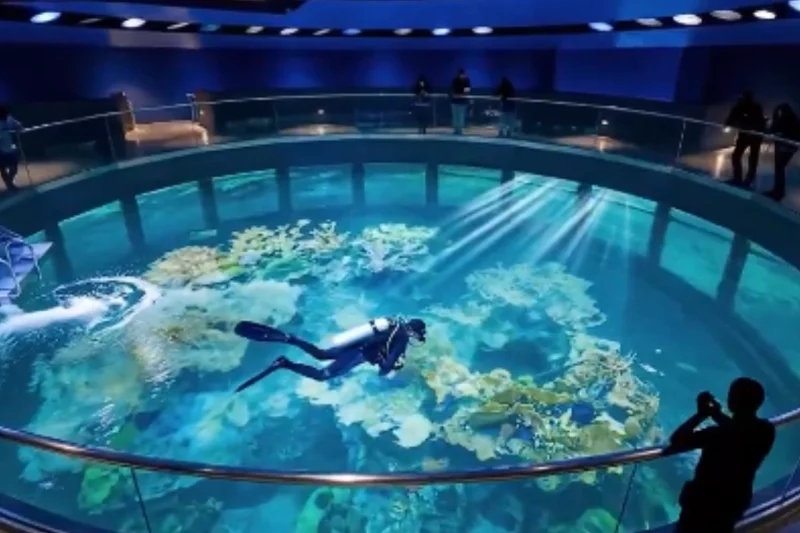 The Internet Is Buzzing Over a Proposed Floating City the Size of a Small Town
