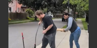 Woman Attacks Neighbor with 2×4 Over Squirrel Food Dispute woman hits neighbor 2x4 squirrels