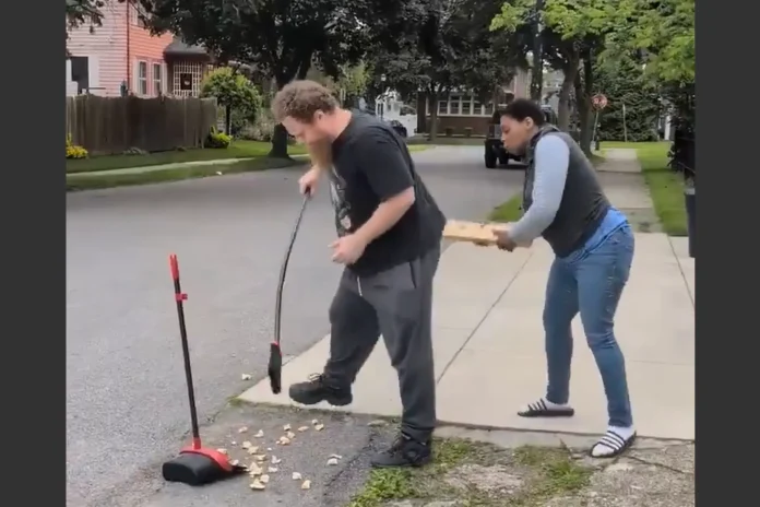 woman hits neighbor 2x4 squirrels