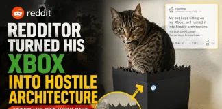Redditor Transforms Xbox into Hostile Architecture to Deter Cat Redditor Xbox cat hostile architecture