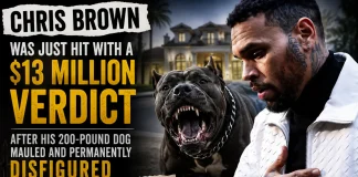 Chris Brown Hit With $13M Verdict After Dog Mauls Housekeeper Chris Brown dog lawsuit