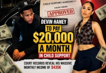 Devin Haney Agrees to $20K Monthly Child Support Amid $435K Income Reveal Devin Haney child support