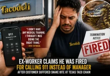 Ex-Worker Fired for Calling 911 After Customer Suffers Snake Bite at Texas Taco Chain Texas taco chain snake bite