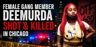Female Gang Member DeeMurda Shot & Killed in Chicago DeeMurda shot and killed
