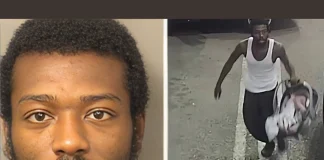 Florida Man Steals Car With Baby Inside, Drops Child Off Safely Before Arrest Florida car theft baby safe
