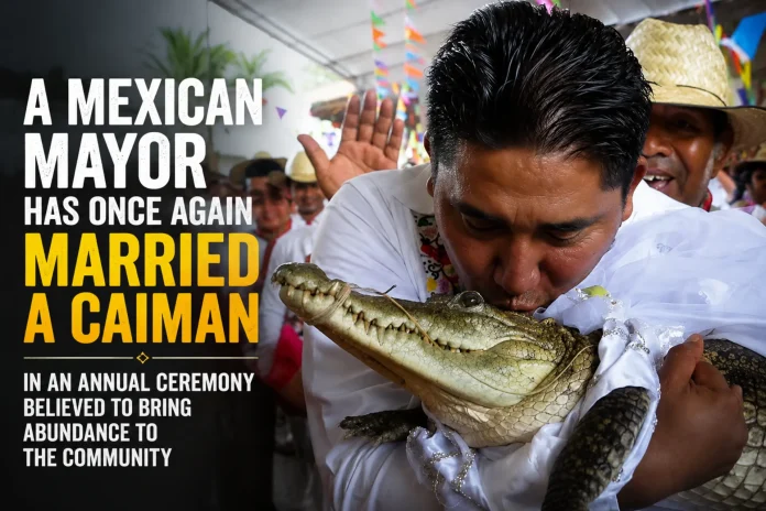 Mexican mayor marries caiman