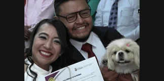 Pets Serve as Marriage Witnesses at Weddings in Ecuador Ecuador pet marriage witness