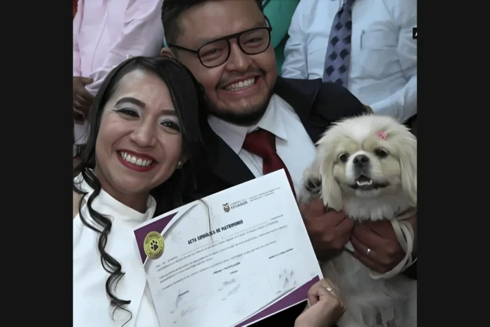 Ecuador pet marriage witness