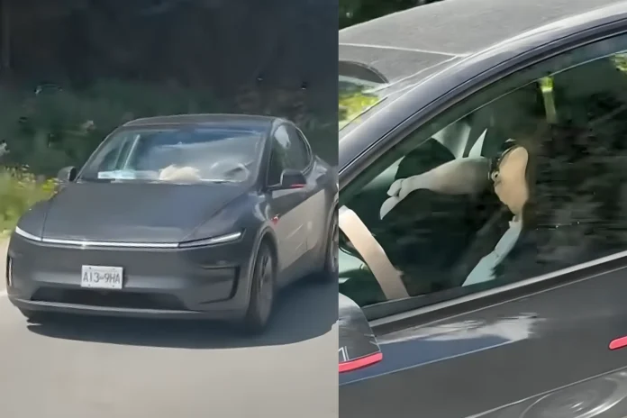 Tesla driver asleep on highway