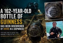 Divers Discover 162-Year-Old Bottle of Guinness in Historic Shipwreck 162-year-old Guinness found