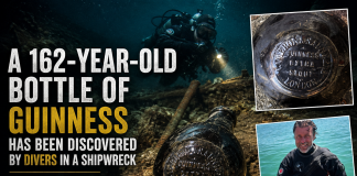 Divers Discover 162-Year-Old Bottle of Guinness in Historic Shipwreck 162-year-old Guinness found