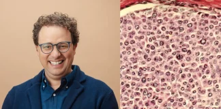 Anthropic CEO Dario Amodei: Curing Cancer is the Key to Rebuilding AI Trust Anthropic CEO AI curing cancer