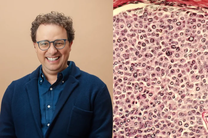 Anthropic CEO AI curing cancer