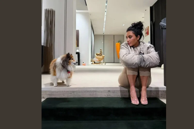 Lewis Hamilton and Kim Kardashian cute dog photos