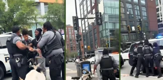 Man Detained for Walking Pet Goat in Washington D.C.: The Real Story Behind the Viral Video Washington DC goat arrest