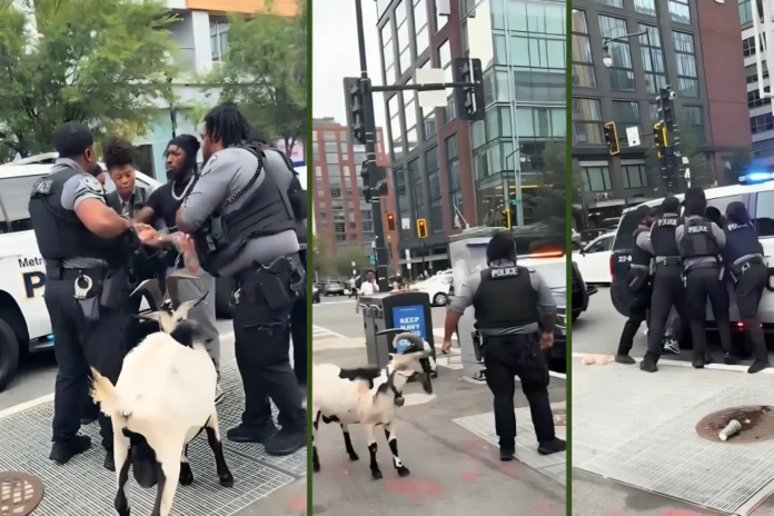 Washington DC goat arrest