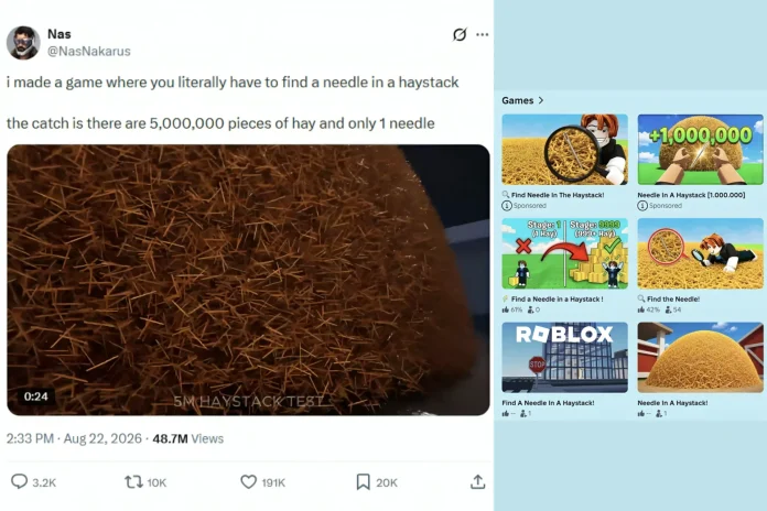 Needle in a haystack game Roblox copies