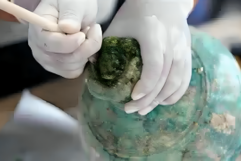 Qin tomb alcohol discovery