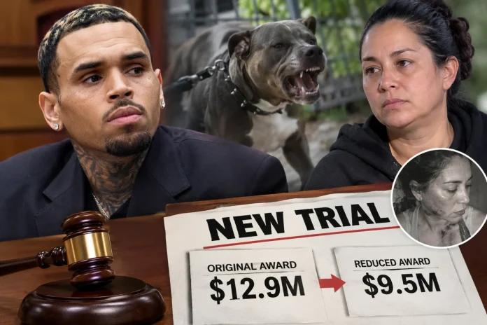 Chris Brown Reportedly to Get New Trial Unless Former Housekeeper Settles