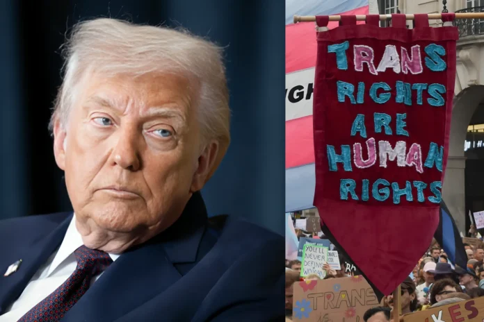 Trump Warns 'Transgender Will Never End' if Republicans Lose Midterms
