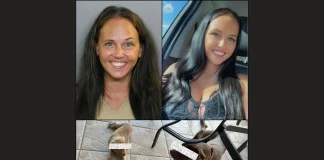 Florida Woman Reportedly Faces Animal Abuse Charges Amid Dog Cruelty Allegations Florida woman animal abuse