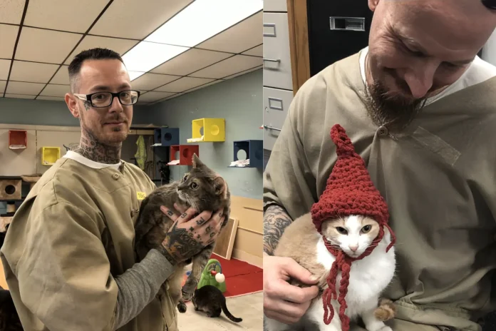 Indiana prison cat program