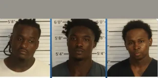 Memphis Police Reportedly Arrest 13 People in a $250,000 Stolen Chicken Heist Memphis chicken heist