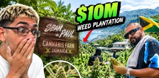 Streamer N3on Stunned Touring Sean Paul’s $10M Cannabis Plantation in Jamaica N3on Sean Paul Jamaica plantation