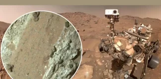 NASA May Have Found Signs of Ancient Life on Mars, but the Sample Return Got Cut NASA May Have Found Signs of Ancient Life on Mars, but the Sample Return Got Cut