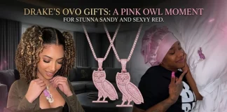 Drake Reportedly Gifts Stunna Sandy and Sexyy Red Pink OVO Pendants Drake OVO pendants