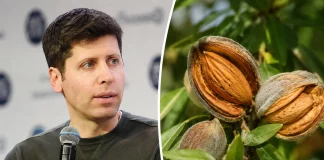 Sam Altman: One California Almond Uses as Much Water as 38,000 ChatGPT Queries Sam Altman almond 38000 ChatGPT queries water usage