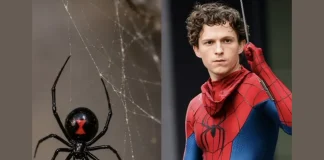 8-Year-Old Bolivian Boy Hospitalized After Black Widow Bite in Attempt to Become Spider-Man Bolivia boy black widow bite Spider-Man