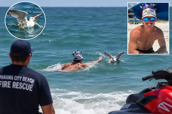 Florida Father Drowns at Panama City Beach While Attempting to Rescue Tangled Seagull