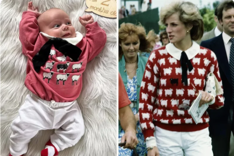 “Princess Dianna” Gets a Year of Royal Style in Adorable Viral Photos